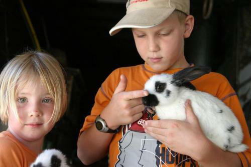 Agroturismo Familienbauernhof Grossgrub