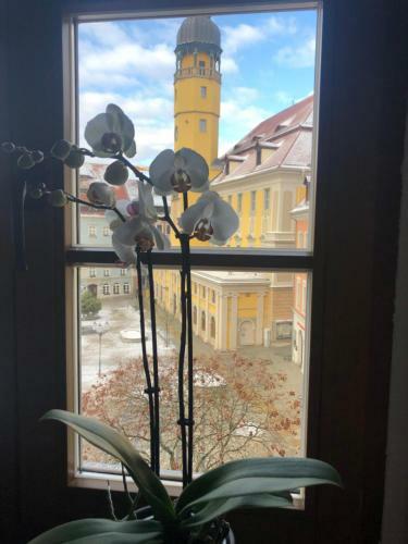 Hostal Zum Handtuch