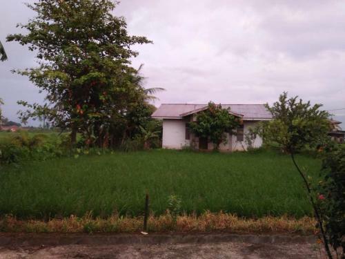 Hostal Penginapan Al Fatih