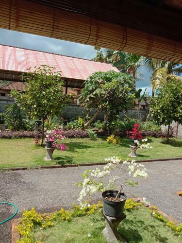 Apartamento House Market