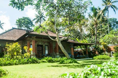 Villa Riens Dream
