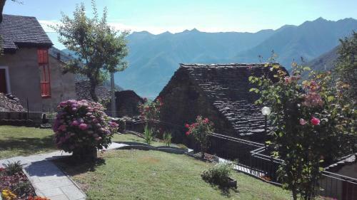 Apartamento Cat Marvei