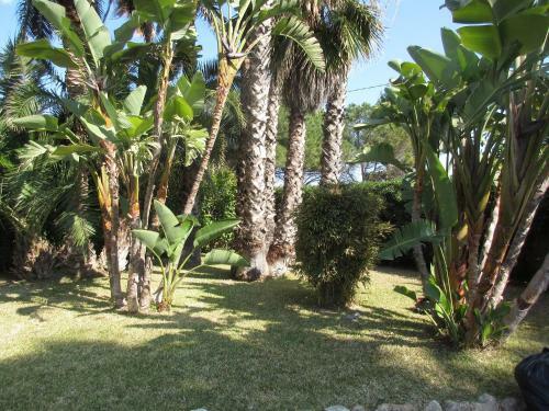 Villa Federica