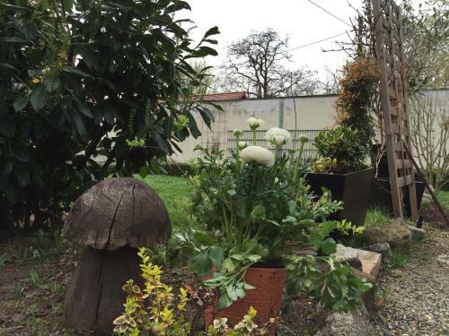 Apartamento Gr�ne Insel