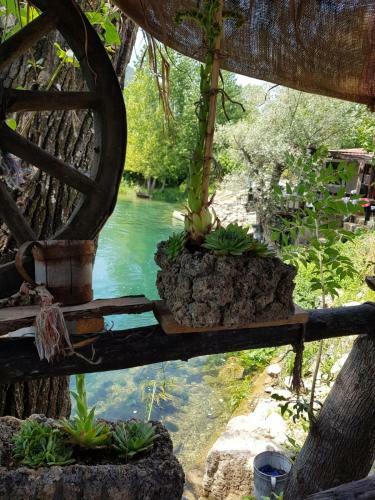 Hostal Pension Helgol�nd