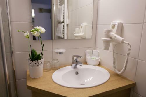 Hotel Wilder Mann
