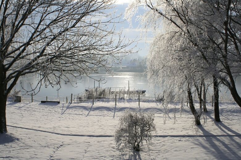 Hotel Pension Treenehof