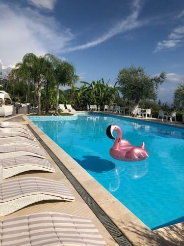 Splendor Hotel & Spa