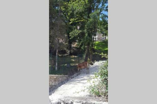 Apartamento Casa Vacanze Al Castello
