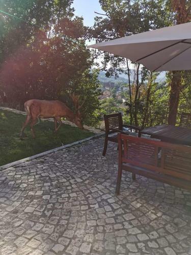 Apartamento Casa Vacanze Al Castello