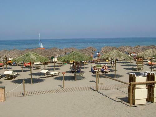 Bed & Breakfast La Pavoncella