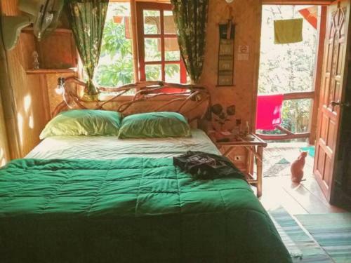 Garden View Treehouse : Treehouse Holidays