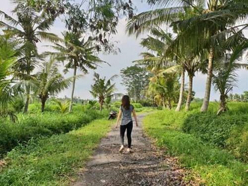 Villa Candy Home Stay