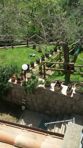 Hostal Villa Farfalla Bianca