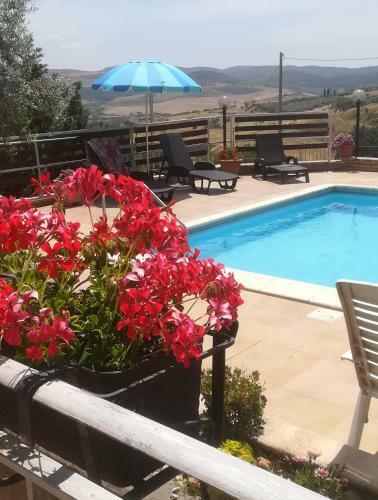Appartamento In Villa Ottavia
