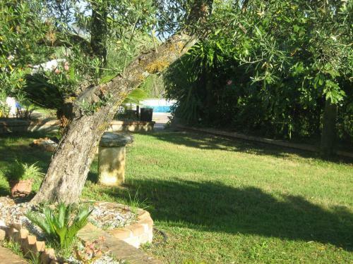 Apartamento Villa Degli Ulivi