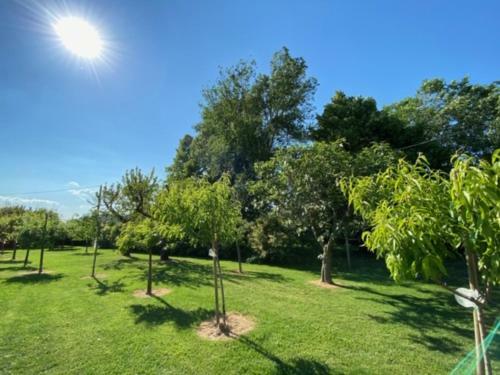 Il Canto Del Gallo B&B