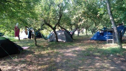 Hostal Room In Holiday Park - Camping Near Venice