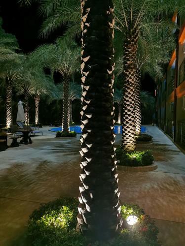 Apartments Mbc