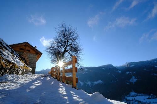 Wellness Paradise
