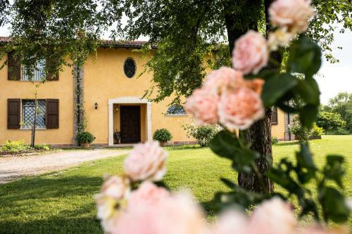 Bed & Breakfast Belvedere
