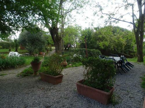 Agroturismo Le Mimose B&B
