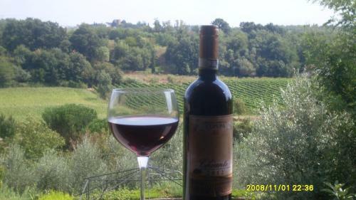 Agroturismo Le Mimose B&B