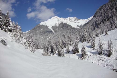 Gallfallalm