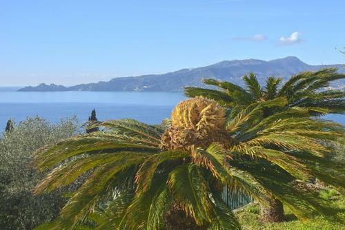 Apartamento La Seta E Il Mare Appartamento In Villa