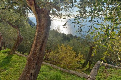 Apartamento La Seta E Il Mare Appartamento In Villa