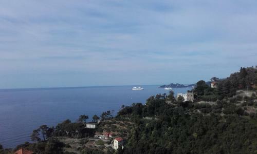 Apartamento Appartamento Con Vista Portofino