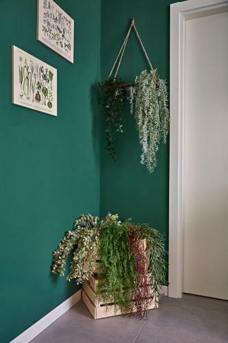 Apartamento ?botanica? Near Venice