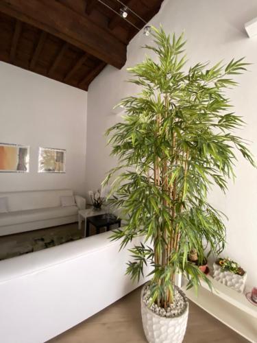 Apartamento Suite Saffi 99