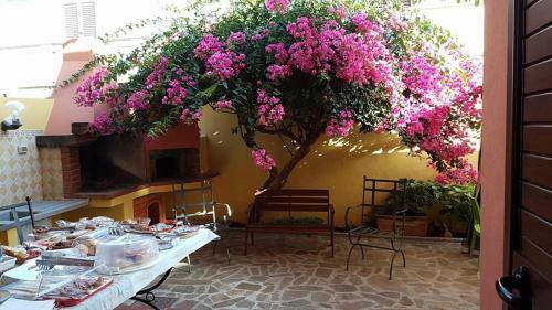 B&B Il Piccolo Giardino