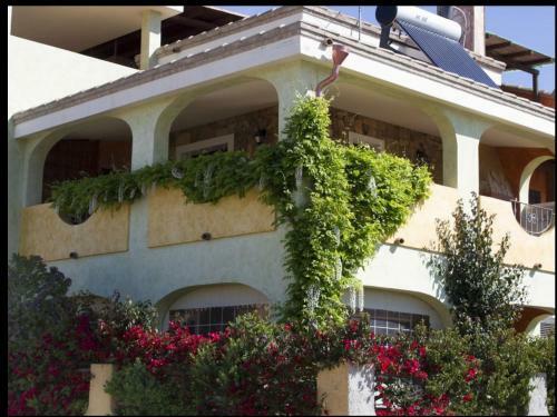 Apartamento Appartamenti Il Glicine