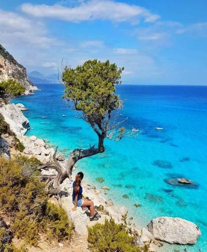 Apartamento Mare E Rokkaria