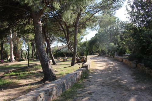 Flamingos In The Desert Villasimius