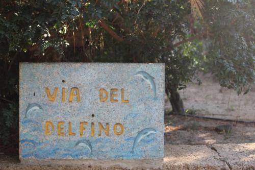 Flamingos In The Desert Villasimius