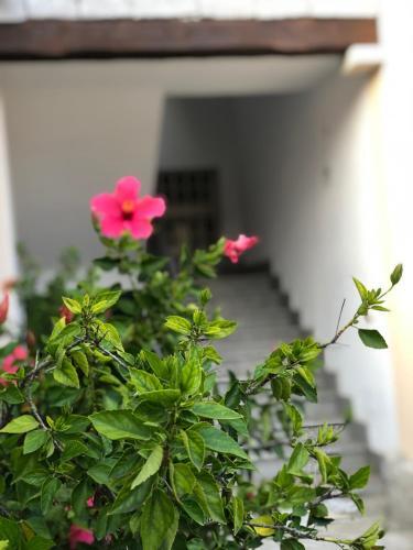 Apartamento Casa Ale Villasimius