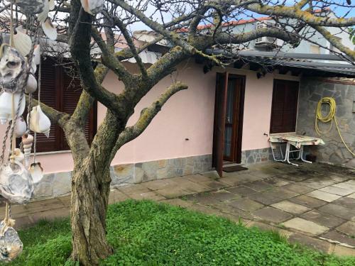 Villetta Con Grande Giardino A Campus