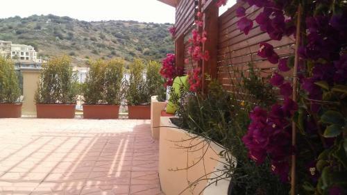 Casa S� Flamingo