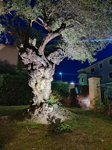 Apartamento Domu Cannuja