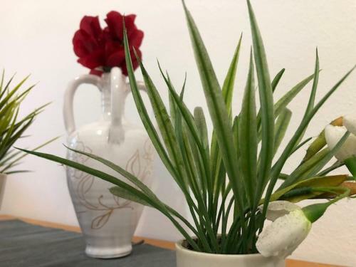Apartamento Casa Smeralda