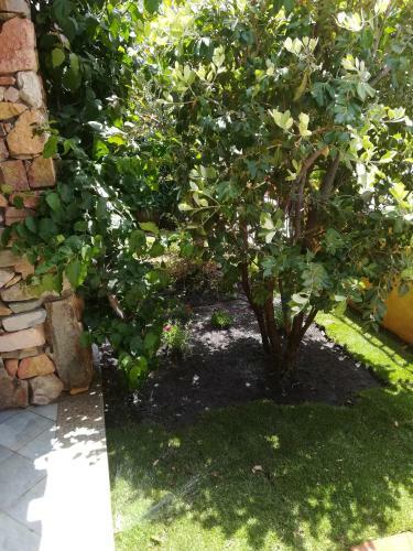 Villino Del Pepe Rosa