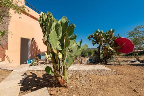 Apartamento Paraiso Sardo 2