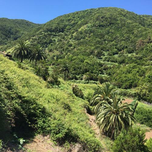 Casa Rural El Rinc�n De Antonia