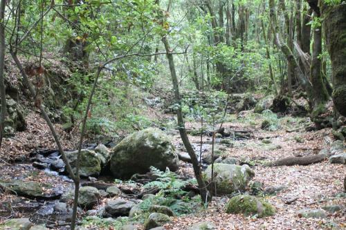Casa Rural El Rinc�n De Antonia