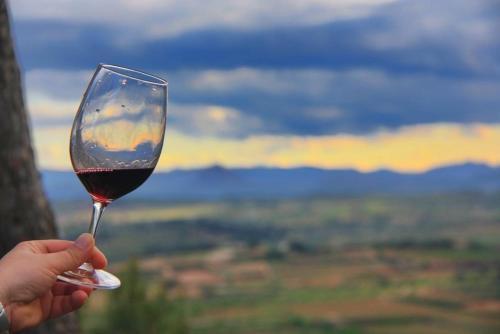 Apartamento La Casa Dels Abeuradors