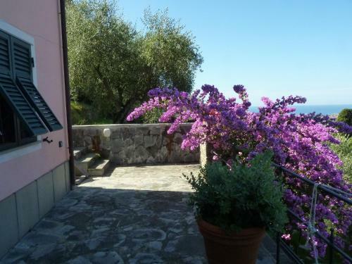 Bed & Breakfast La Gatta Sul Sentiero