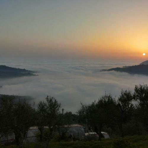 Hostal Ca' Da Tollo